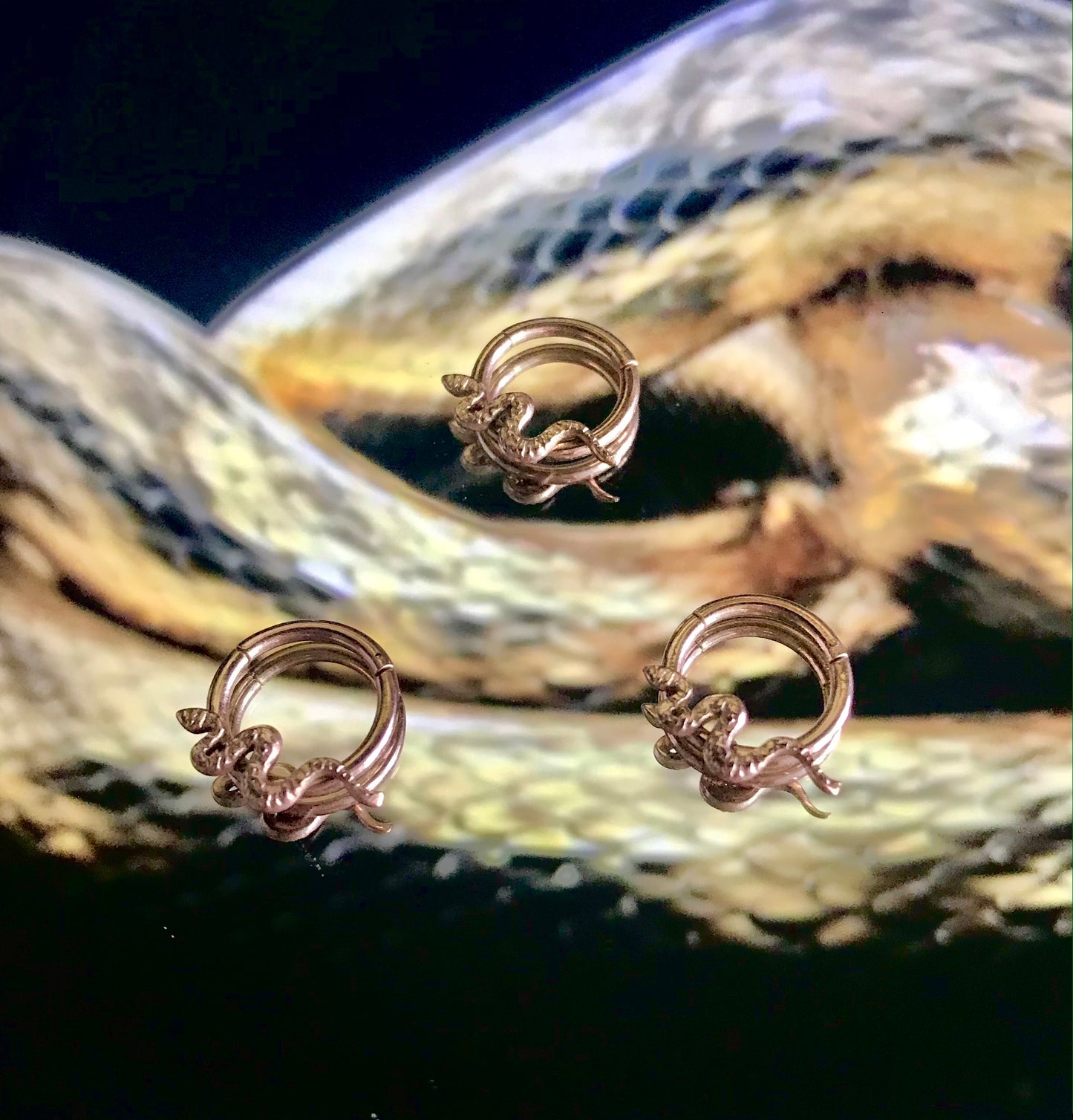 Septum Snake Gold